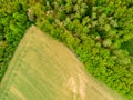 Aerial drone view of field, trees and forest in agriculture land. Top look to meadow near village and farm. Beautiful green fresh Royalty Free Stock Photo