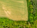 Aerial drone view of field, trees and forest in agriculture land. Top look to meadow near village and farm. Beautiful green fresh Royalty Free Stock Photo