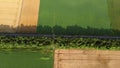 Aerial drone view flight over different yellow green agricultural fields Royalty Free Stock Photo