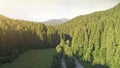 Aerial Drone View: Flight over pine tree forest