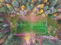 Aerial drone view of football soccer pitch field, green grass fall autumn vibrant pitch playground with fallen multicolored leaves