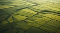 Aerial drone view of green agriculture fields and farmland