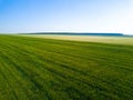 Aerial drone view of green field, expanses of Russia Royalty Free Stock Photo