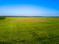 Aerial drone view of green field, expanses of Russia Royalty Free Stock Photo