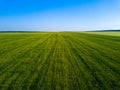 Aerial drone view of green field, expanses of Russia Royalty Free Stock Photo