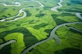 Aerial drone view of green landscape with canals