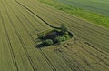 Aerial drone view on green like oasis duck pond with tree and bushes surrounded by wheat fields, hidden from people Royalty Free Stock Photo