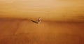 Aerial Drone View Of Healthy Sportive Woman Running On Beach