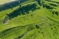 Aerial drone view of herd of sheep grazing in a meadow Royalty Free Stock Photo