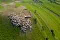 Aerial drone view of herd of sheep grazing in a meadow Royalty Free Stock Photo