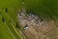 Aerial drone view of herd of sheep grazing in a meadow Royalty Free Stock Photo