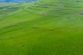 Aerial view of herd of sheep grazing in a meadow Royalty Free Stock Photo