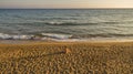 Aerial drone view of a lone man relaxing on a quiet beach just before sunset. Royalty Free Stock Photo