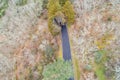 aerial drone view of a mountain road, spain Royalty Free Stock Photo