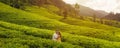 Aerial View of Green Tea Plantations Landscape with Couple of Travelers in Love Royalty Free Stock Photo