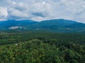 Aerial drone view of oil palm plantations with Ledang Mountain background in Asahan, Melaka, Malaysia.