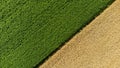 Aerial drone view over border between yellow wheat field and agricultural field Royalty Free Stock Photo