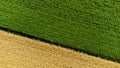 Aerial drone view over border between yellow wheat field and agricultural field. Royalty Free Stock Photo