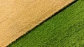 Aerial drone view over border between yellow wheat field and agricultural field Royalty Free Stock Photo