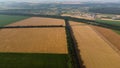 Aerial drone view flight over different yellow green agricultural fields Royalty Free Stock Photo