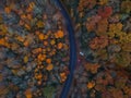 Aerial Drone view of overhead colorful fall / autumn leaf foliage near Asheville, North Carolina.Vibrant red, yellow, teal, orange