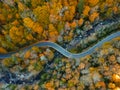 Aerial Drone view of overhead colorful fall / autumn leaf foliage near Asheville, North Carolina.Vibrant red, yellow, teal, orange