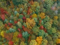 Aerial Drone view of overhead colorful fall / autumn leaf foliage near Asheville, North Carolina.Vibrant red, yellow, teal, orange