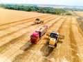 Aerial drone view. Overloading grain from combine harvesters into grain truck in field. Harvester unloder pouring Royalty Free Stock Photo