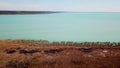 Aerial drone view about reeds fields next to the lake shore. Horizontal movment of the footage, turquise blue water and horizon 4K