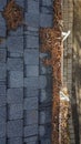 Aerial drone view of residential rain gutter eavestrough filled with pine needles and tree debris