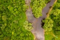 Aerial view of river cutting trough forest