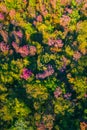 Aerial drone view of stunning colorful autumn fall forest. Drone Aerial View Concept. Royalty Free Stock Photo