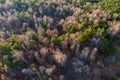 Aerial drone view of stunning colorful autumn fall forest Royalty Free Stock Photo