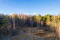 Aerial drone view of stunning colorful autumn fall forest Royalty Free Stock Photo