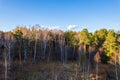 Aerial drone view of stunning colorful autumn fall forest Royalty Free Stock Photo