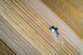 Aerial drone view of tractor plowing field