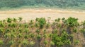 Aerial drone view of tropical beach from above, sea, sand and palm trees island beach landscape, Thailand Royalty Free Stock Photo