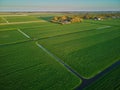 Aerial drone view of typical Dutch fields and polders Royalty Free Stock Photo