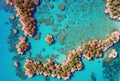 Aerial drone view of vibrant coral reefs in crystal clear shallow waters. AI generated.