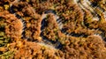 Aerial drone view of winding forest road Royalty Free Stock Photo