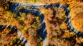 Aerial drone view of winding forest road in the mountains. Royalty Free Stock Photo