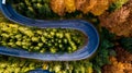 Aerial drone view of winding forest road in the mountains. Colourful landscape with rural road, trees with yellow leaves Royalty Free Stock Photo