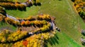 drone view of winding forest road in the mountains. Colourful landscape with rural road, trees with yellow leaves Royalty Free Stock Photo