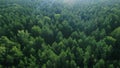 Aerial ecological green rainforests forest morning beautiful shot. Ideal background for forest conservation, save