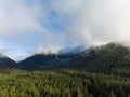 Aerial of evergreen forest and snowy mountains