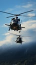 Aerial exhibition two military helicopters, mastering the cerulean heavens