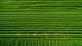 aerial farm drone view Royalty Free Stock Photo