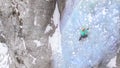 AERIAL: Female climber placing her ice-picks while climbing up an icy waterfall. Royalty Free Stock Photo