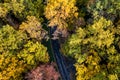 Aerial flight above winding road in autumn forest