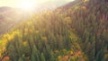 Aerial Flight in Carpathian mountains. Royalty Free Stock Photo